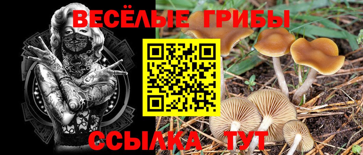 Псилоцибиновые грибы Magic Shrooms  Вход с VPN  Волоколамск 